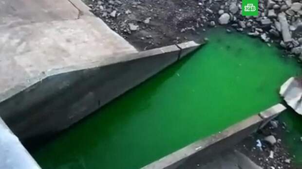 Жители Перми пожаловались на ярко-зеленые реки