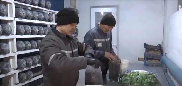 2000 карагандинских заключенных получают зарплату и осваивают профессии