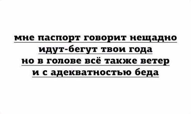 Веселые картинки и фото приколы из жизни (11 фото)