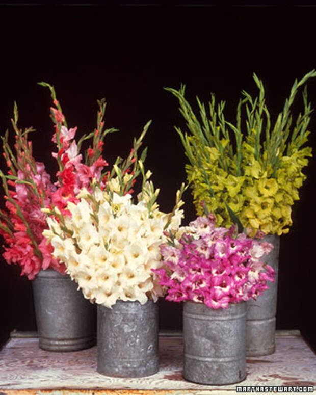 flowers-container-ideas-by-marta18 (400x500, 178Kb)
