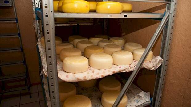 Алтайские предприятия продали за границу продукцию на полмиллиарда долларов