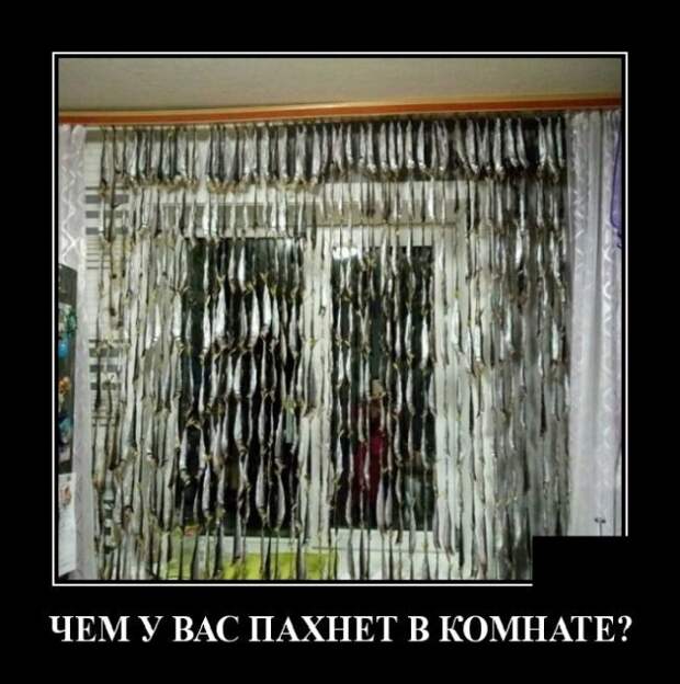 Демотиваторы (20 фото)