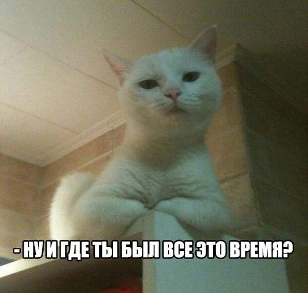 Позитивный пост+ 150 Позитивный пост+ 150