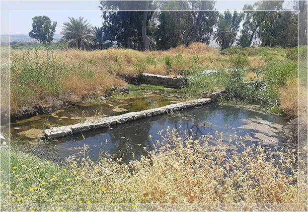 Уровень воды Геннисаретского озера поднялся из-за сильных дождей в 2020 году, затопив территорию церкви.