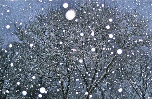 Если бы погода не менялась, тем для разговоров было бы в 2 раза меньше. Представляем прогноз на 28 декабря в Туле