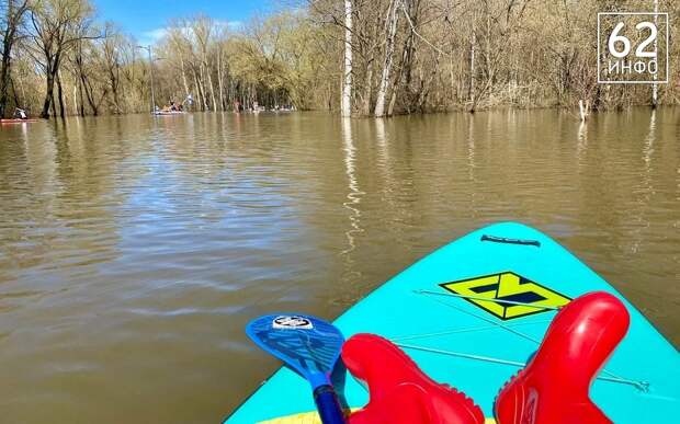 Зарядка, музыка, заплыв: более 1000 человек ждет сап-фестиваль "Рязанское море"