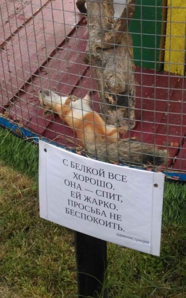 Прикольные объявления