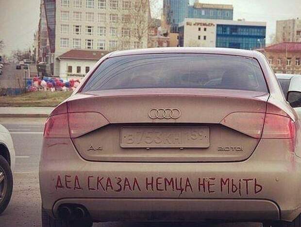 Смешные надписи к картинкам для веселья (10 фото)