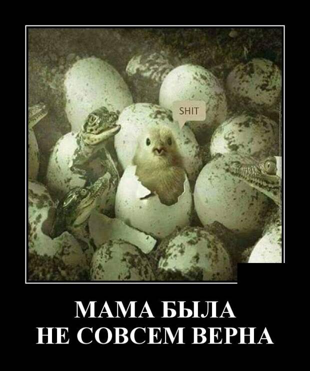 Демотиваторы (30 фото)