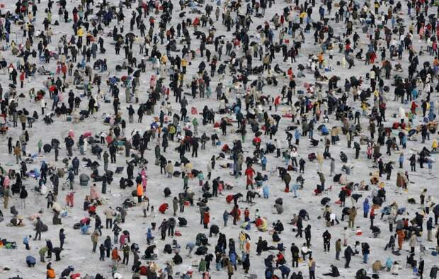 Групповое фото: 24 странно-прекрасные фотографии безумных толп людей