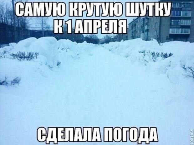 Мы пережили 1 апреля: подборка сумасшедших розыгрышей Мы пережили 1 апреля: подборка сумасшедших розыгрышей
