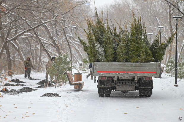 Работы в бывшем парке имени Ленина/ Фото: barnaul.org