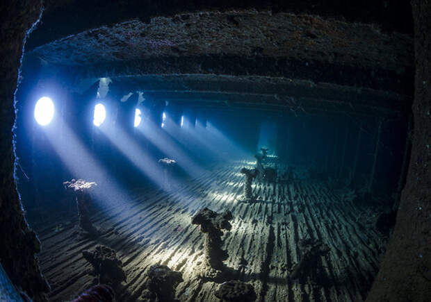 Призер в категории «Затонувшие корабли». Снимок Нади Кулагиной из Казахстана Underwater Photographer of the Year, животные, под водой, фото
