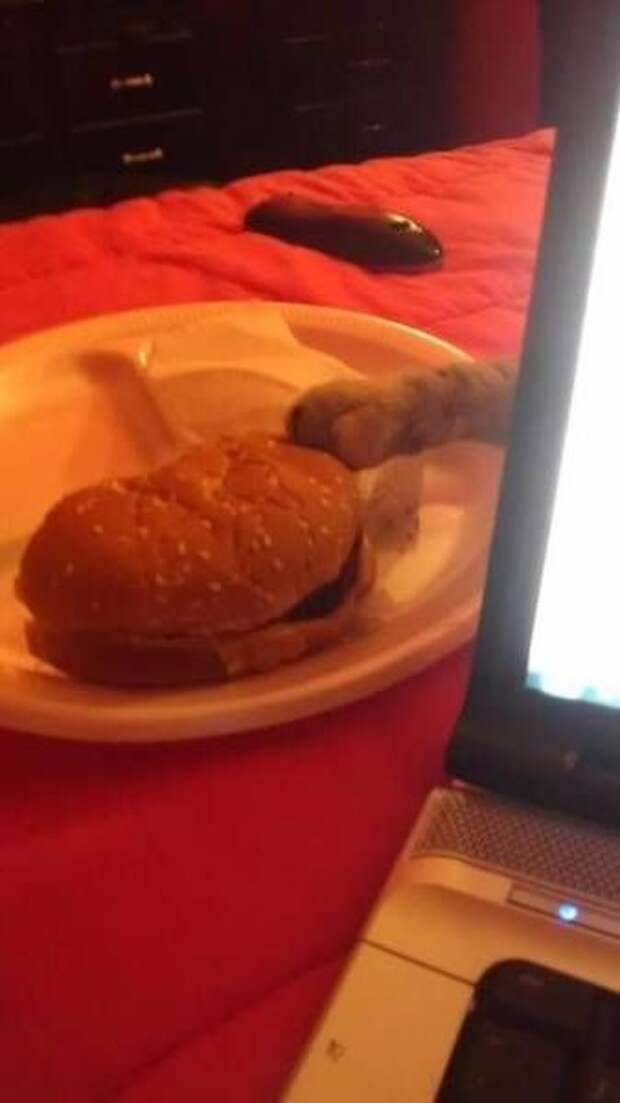 яяя123