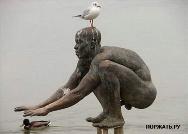 Приколы смешные картинки и рисунки.