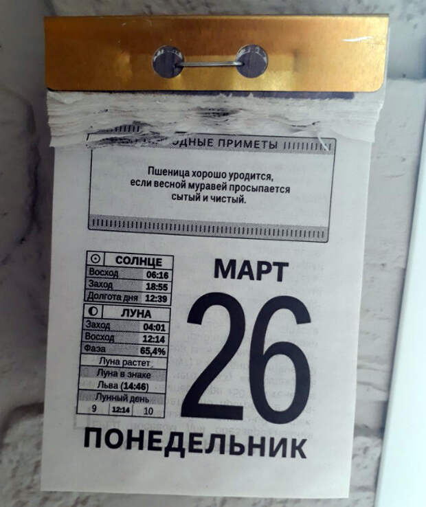 Народная примета. Народная примета.