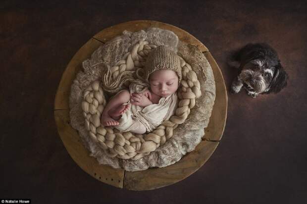 Австралийские фотографы воплотили чудо материнской любви искусство, малыши, материнство, фото