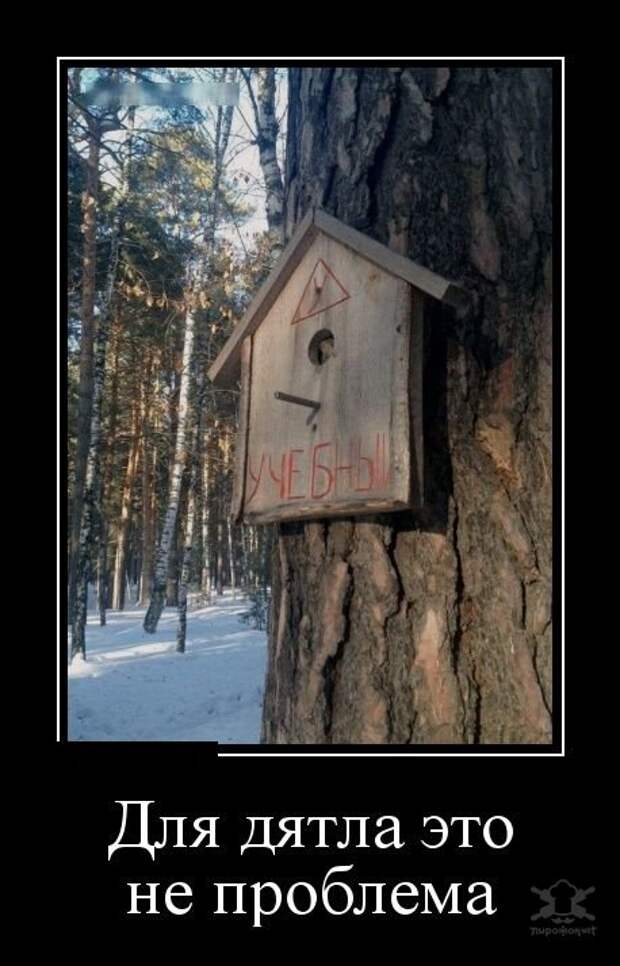 Демотиваторы