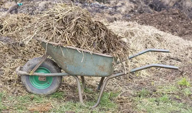 В России навоз предлагают исключить из списка опасных отходов
