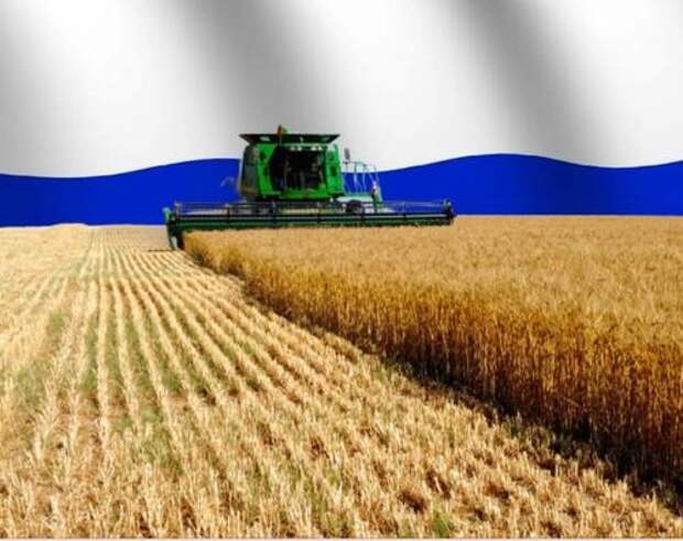 Российское сельское хозяйство предлагают усиливать аквапоникой