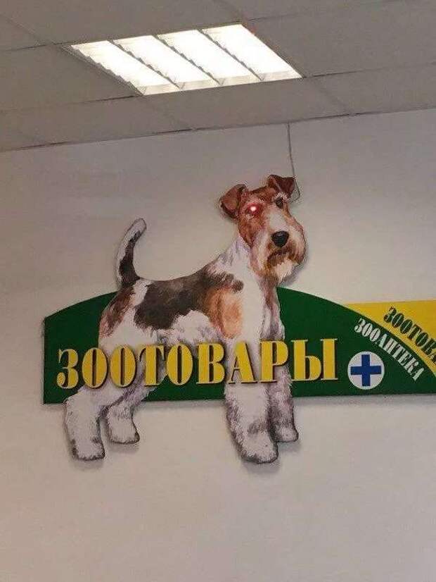 Прикольные вывески. Подборка chert-poberi-vv-chert-poberi-vv-05560217102020-16 картинка chert-poberi-vv-05560217102020-16