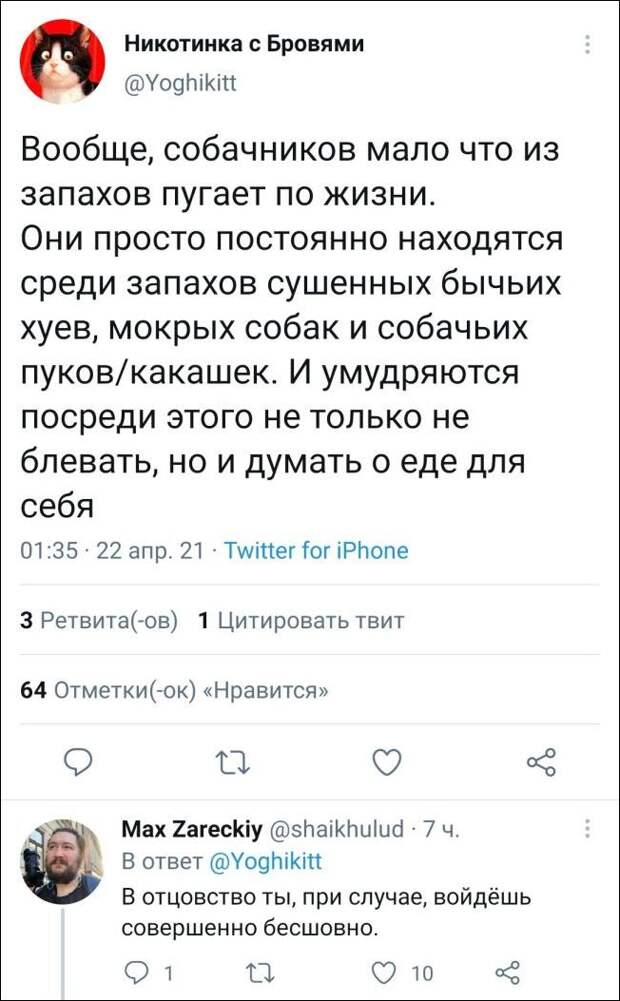 смешные комментарии