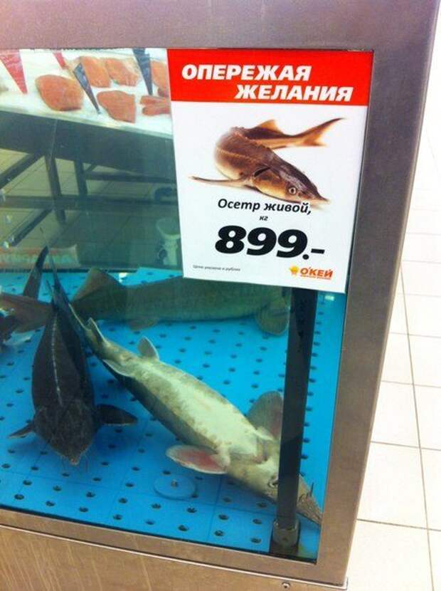 Рекламные маразмы