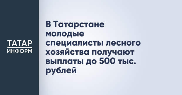 В Татарстане молодые специалисты лесного хозяйства получают выплаты до 500 тыс. рублей