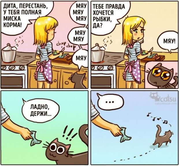 Как меняется жизнь с появлением в доме кота (20 картинок)