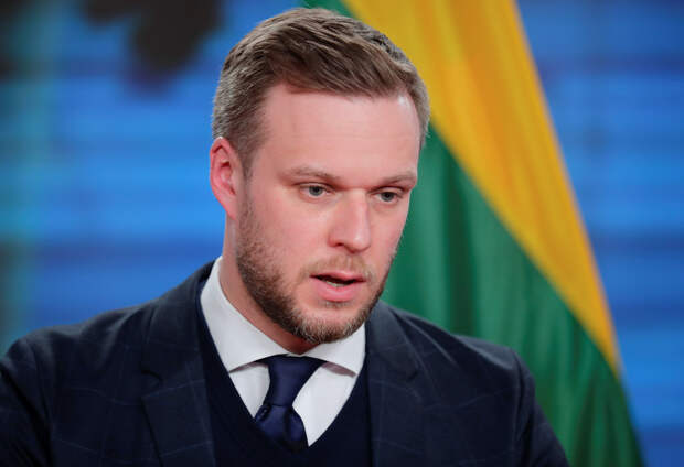 Литва предложит НАТО предоставить Украине план действий по членству