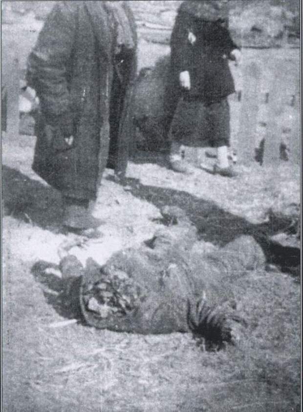 Бандеровцы