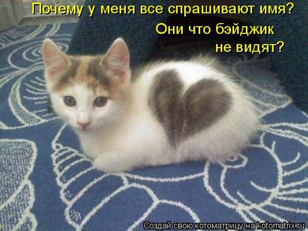 Почему у меня все спрашивают имя? Они что бэйджик  не видят?