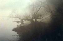 images/nature/17.jpg