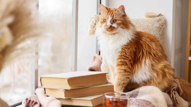 13 книг, за которыми надо охотиться на Non Fiction — выбор MAXIM