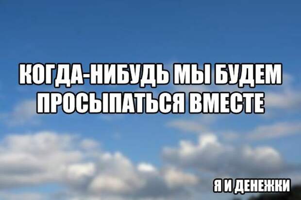 Прикольные картинки. Дневной выпуск (50 фото)