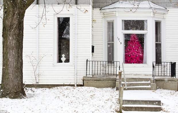 Розовая рождественская елка видна через окно заснеженного дома в Омахе, штат Небраска.  холода в США, чикаго