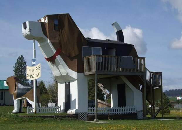 Провести ночь внутри собаки: чем удивляет отель Dog Bark Park Inn в США