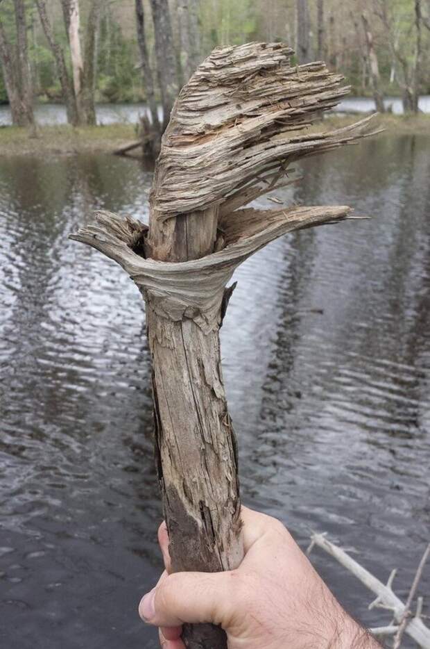 То, что редко увидишь на снимках, которые вас удивят