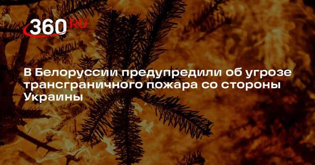 В Белоруссии предупредили об угрозе трансграничного пожара со стороны Украины