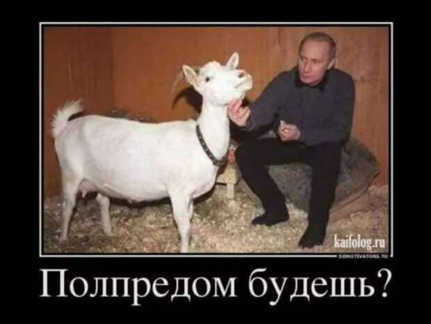 Демотиваторы про коронавирус с надписями. Подборка chert-poberi-dem-koronavirus-chert-poberi-dem-koronavirus-27230329102020-4 картинка chert-poberi-dem-koronavirus-27230329102020-4