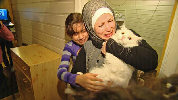 Потерявшийся кот вернулся в семью иракских беженцев, преодолев полмира (10 фото)