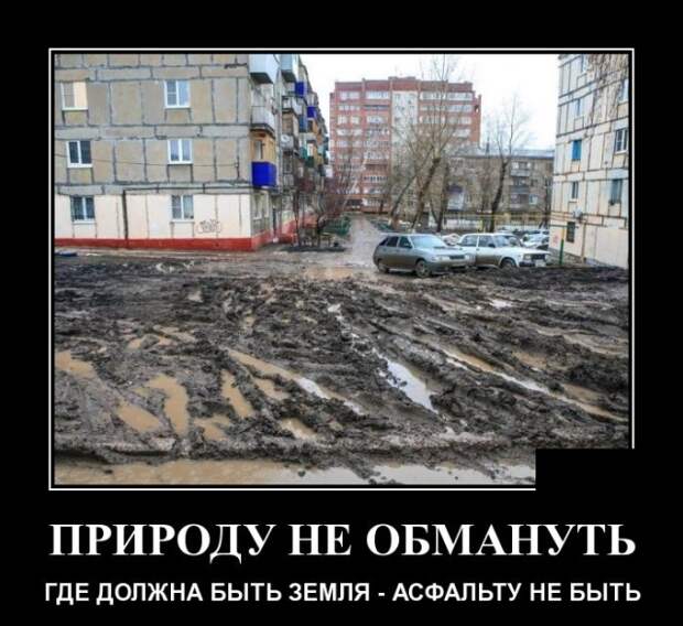 Демотиваторы (30 фото)