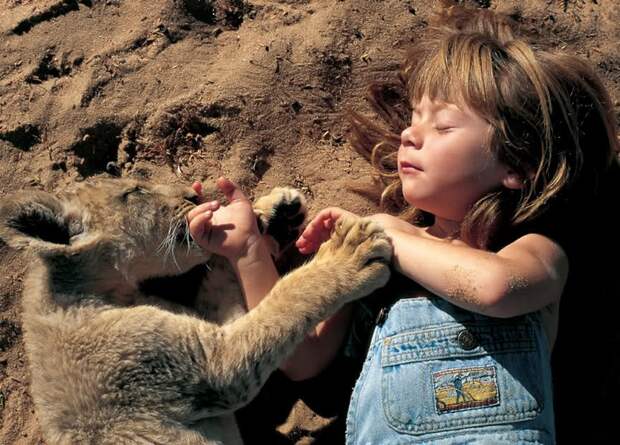Tippi06 Tippi06 Современная Маугли
