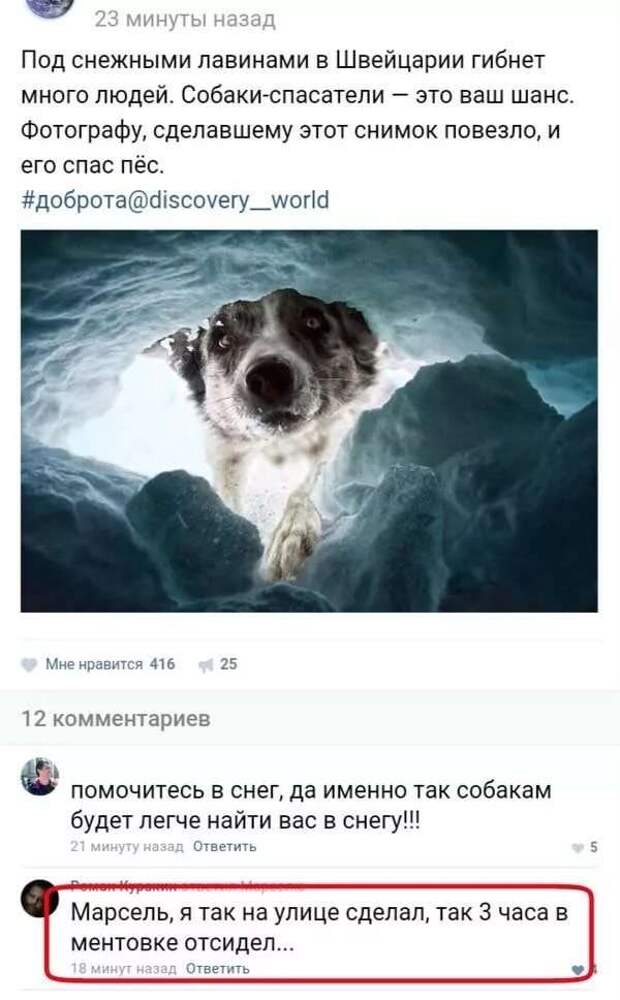 Смешные комментарии. Подборка chert-poberi-kom-chert-poberi-kom-36150412112020-14 картинка chert-poberi-kom-36150412112020-14