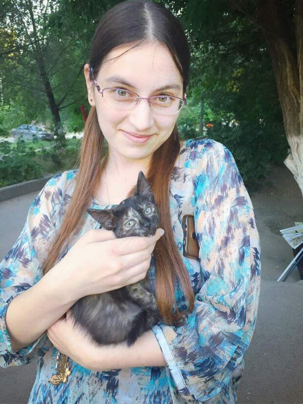 Люди услышали громкий плач котенка из-за забора Люди услышали громкий плач котенка из-за забора котенок, кошка