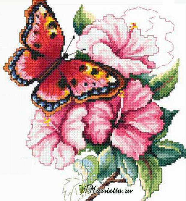Схема вышивки «Красочная бабочка на цветах» (1) (498x538, 521Kb)