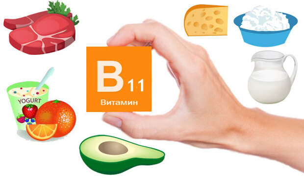 В каких продуктах содержится витамин В11 - В каких продуктах содержится витамин В