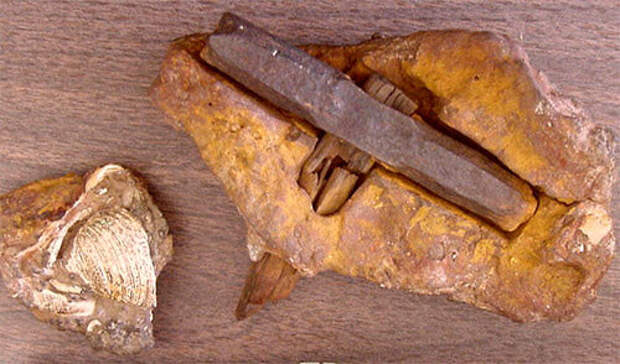 fossil-hammer