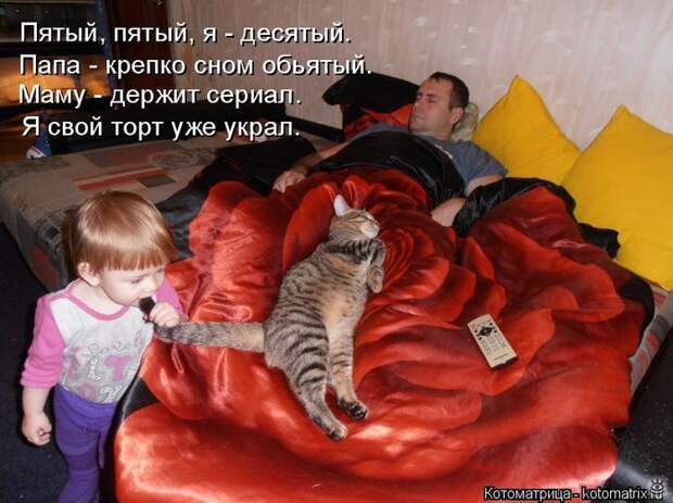 Приколы в котоматрице 0