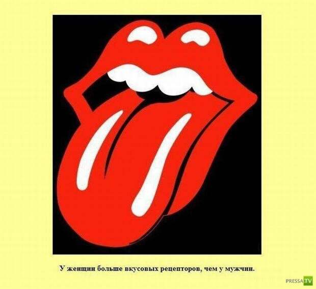 Прикольные факты о которых вы не знали